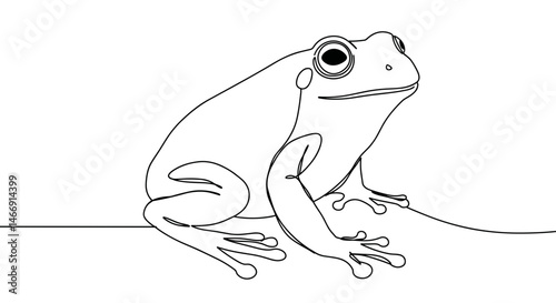 Line Art Frog Sitting on Ground  