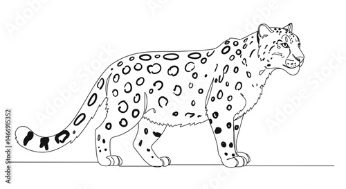 Snow Leopard Outline Illustration in Black and White  