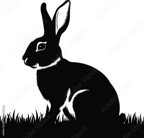 A fluffy black rabbit silhouette, a cute mammal with ears, grazes on grass