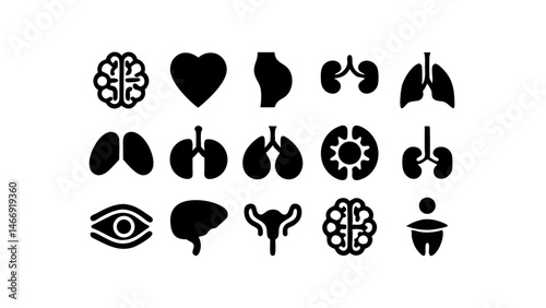 vector glyph icons showing human organ anatomy with clean medical graphics ideal for healthcare apps biology infographics anatomy lessons and medical education content