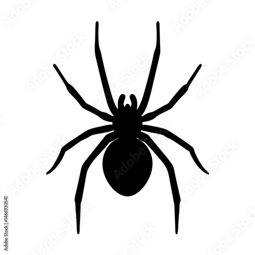 Silhouette of a spider with long legs on a white background