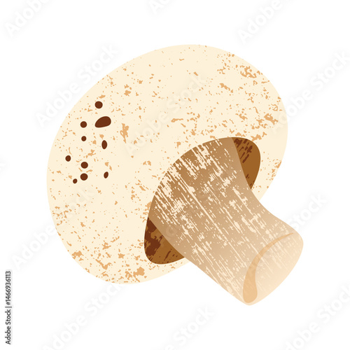 Champignon mushroom. Fresh whole mushroom, cartoon forest fungus healthy vegetarian food, organic natural mushroom harvest product. Vector isolated illustration