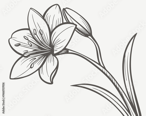 Abstract black and white floral art with a lily silhouette shows a vintage nature pattern
