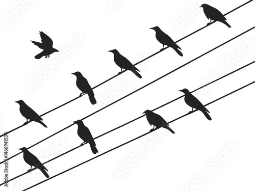 Black silhouette birds on a wire, a nature illustration with a design pattern against the sky