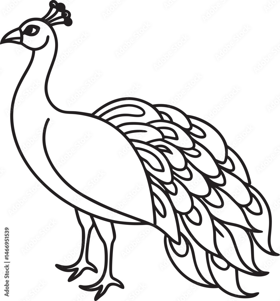 Fototapeta premium peacock line art vector illustration 