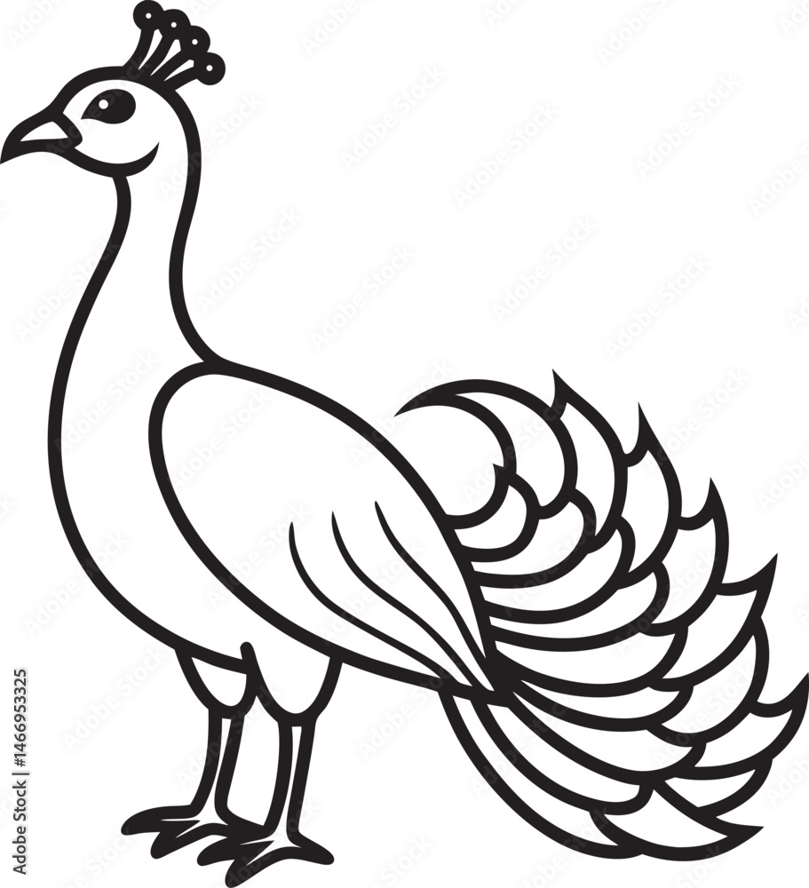 Obraz premium peacock line art vector illustration 