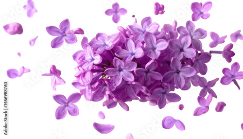 A cluster of vibrant lilac flowers with individual petals floating around giving a dynamic