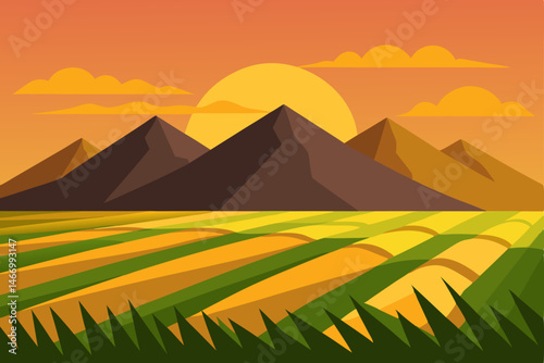 tranquil rice paddies glowing at golden hour 