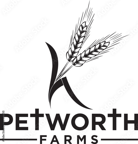 Letter K grain and Agriculture wheat Logo Template vector icon design