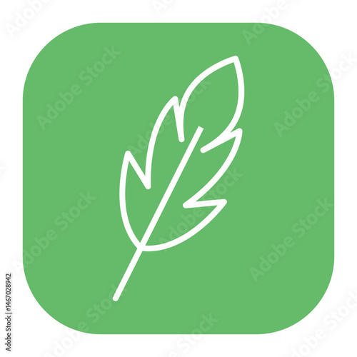 Feather Icon