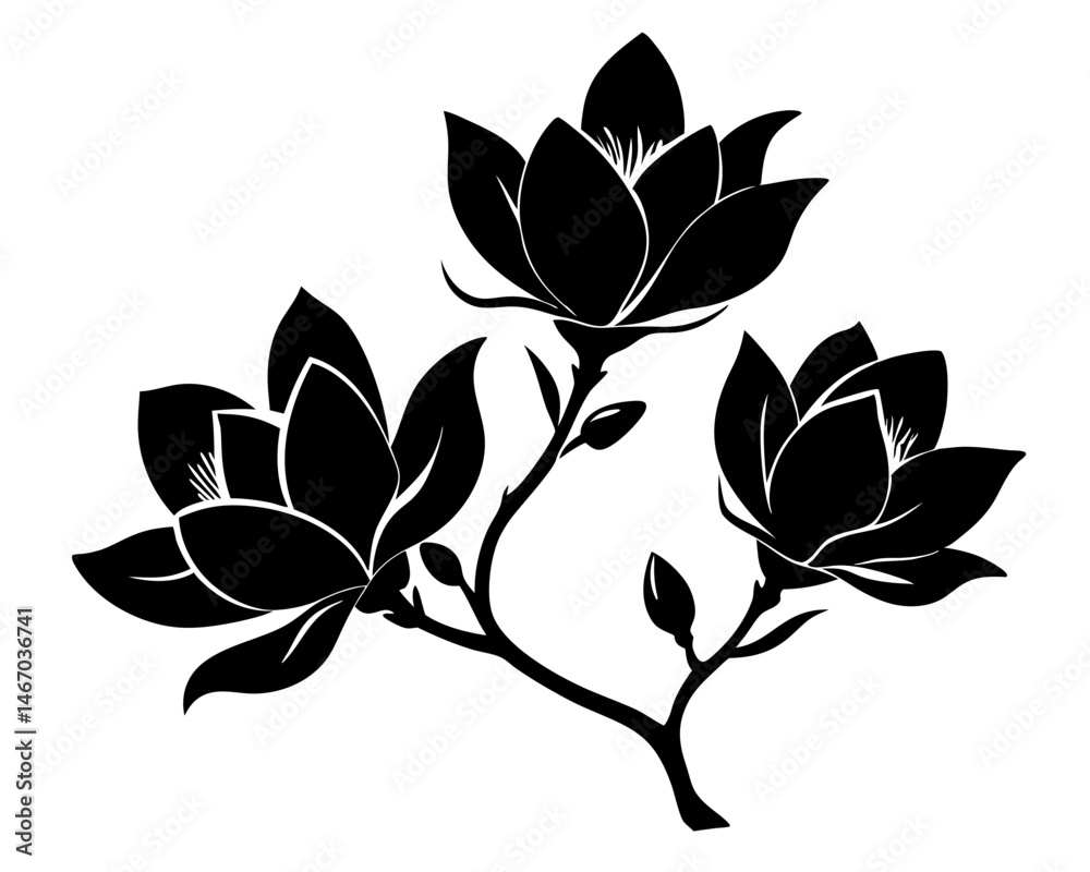 Obraz premium Magnolia Flowers Vector, Flowers illustration Svg Clipart