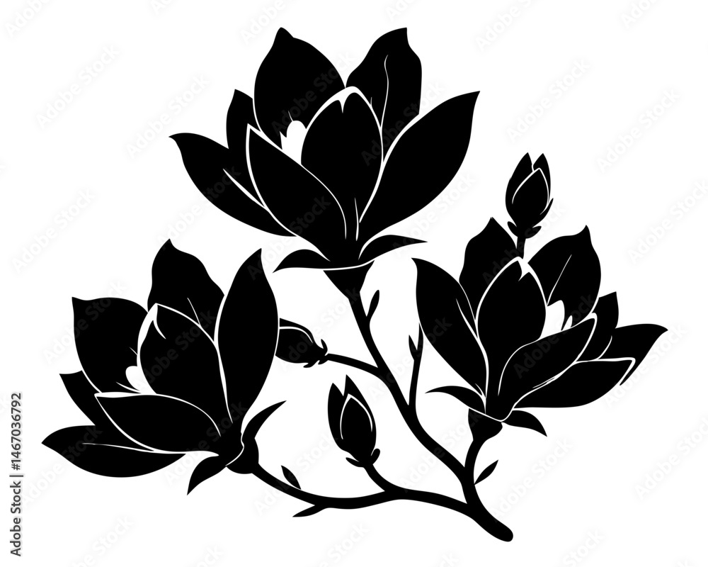 Obraz premium Magnolia Flowers Vector, Flowers illustration Svg Clipart