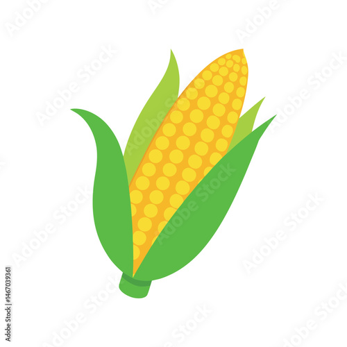 Fresh corn on the cob displayed with green husks ready for cooking and enjoying in summer meals