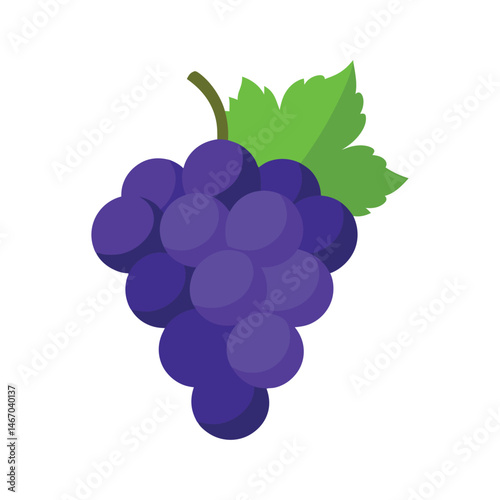 Bunch of ripe purple grapes hanging from a vine with green leaves in a bright environment