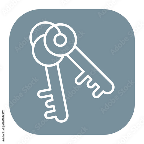 Security Key Icon