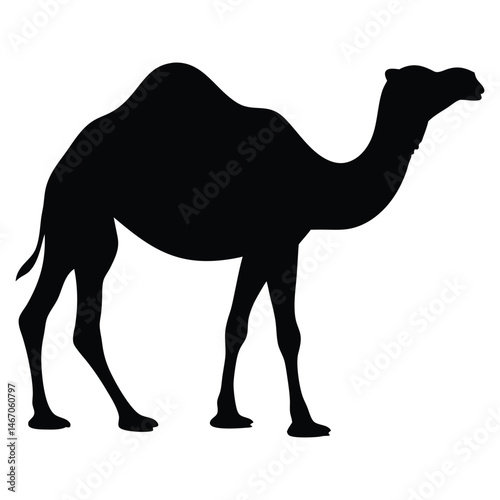 Majestic Camel Silhouette Desert Animal Wildlife Icon Graphic Design Element