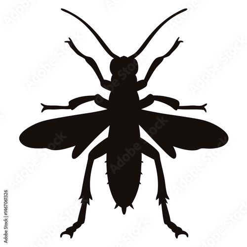 Detailed insect silhouette graphic design element perfect for nature illustrations or entomological studies.