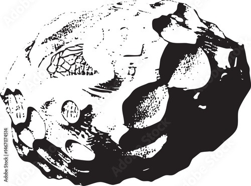 A stark black and white skull rests on a smooth circular surface.