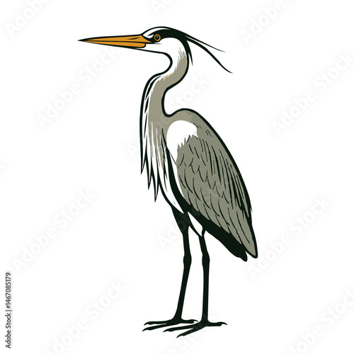 Heron 