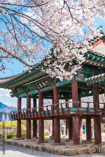 traditional Korean gazebo in the springtime