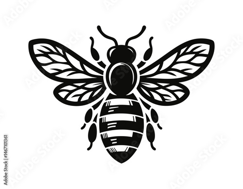 Black and white wasp illustration with detailed wings and striped abdomen. Clipart image isolated on background.