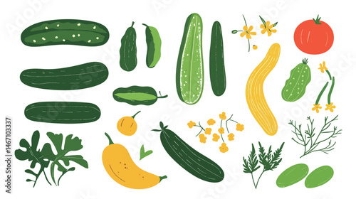 Cucumber Vector Illustration – Fresh and Crisp Cucumber Graphic Design