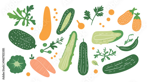 Cucumber Vector Illustration – Fresh and Crisp Cucumber Graphic Design