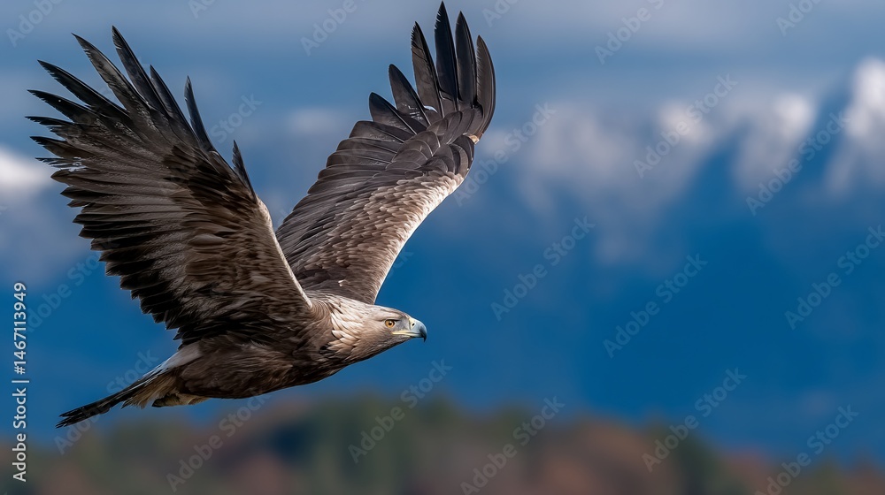 Fototapeta premium Majestic golden eagle soaring through the sky