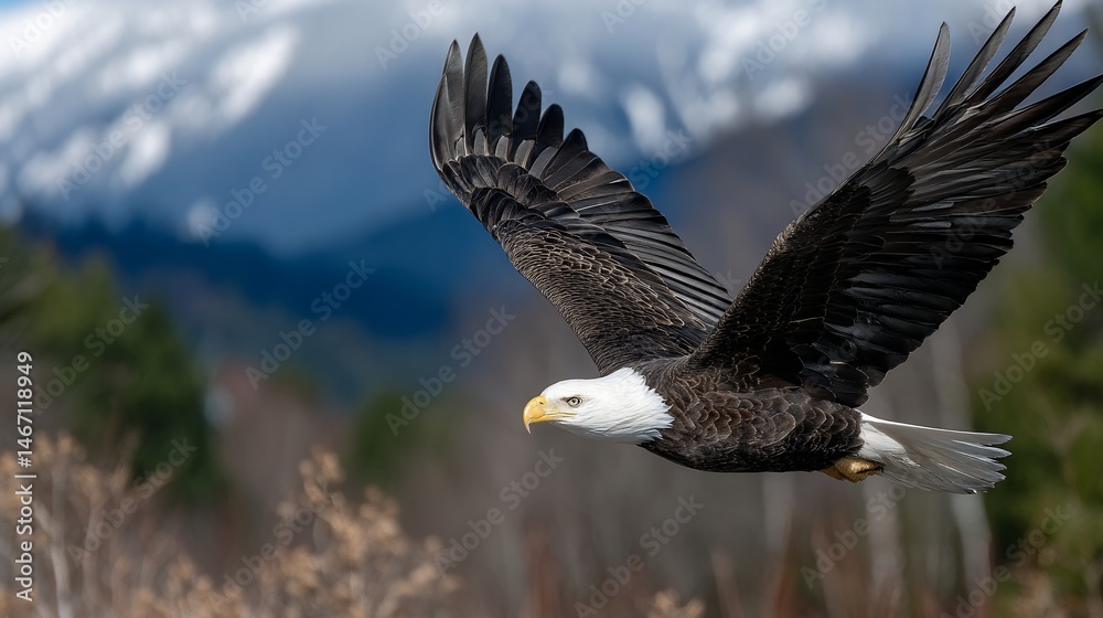 Obraz premium Majestic eagle soaring through mountainous landscape