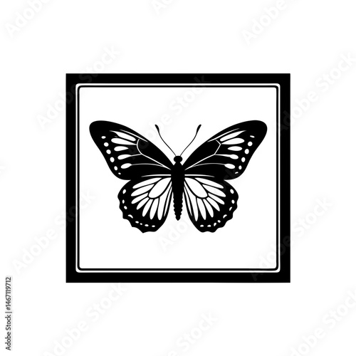 butterfly specimen  a mounted butterfly with 