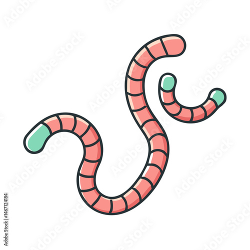 Cartoon earthworm illustration with segments and rounded ends for educational resources and design