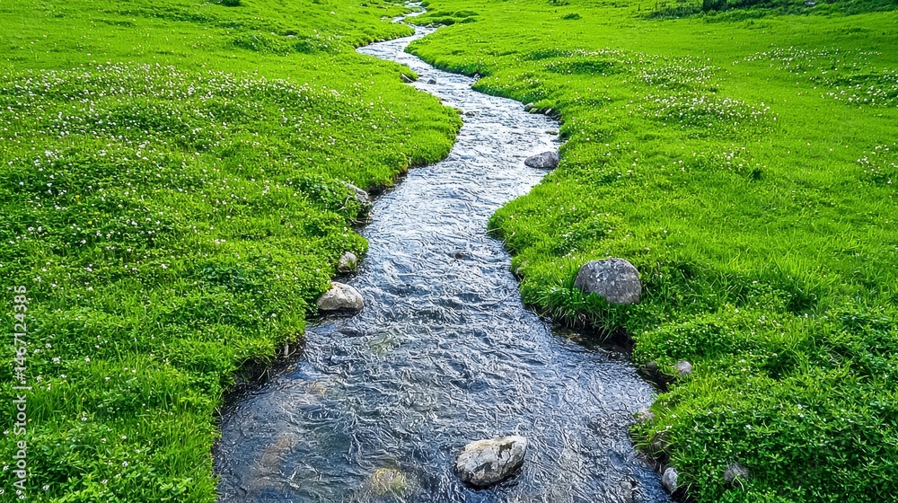 Obraz premium Crystal Stream Winding through Green Meadow with White Flowers in Sunny Weather