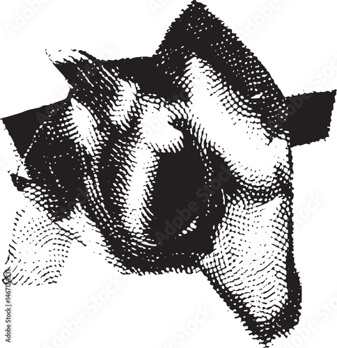 A stark black and white portrait of a canine head.