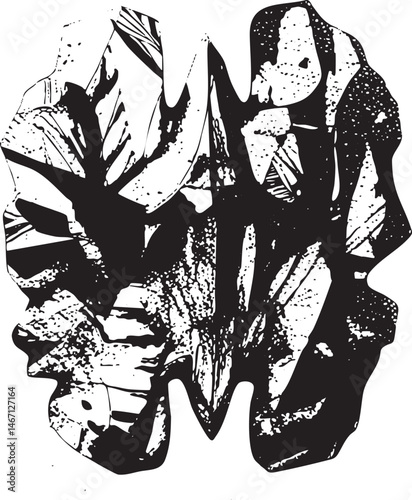 A striking black and white of complex crystal formations.