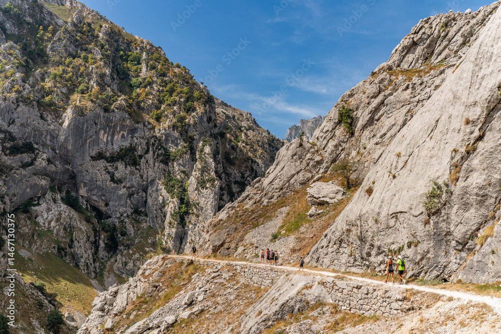 Obraz premium Stunning panoramic view of the dramatic rocky peaks and deep valleys of the Picos de Europa National Park in Spain, showcasing rugged cliffs, narrow gorges. Popular destination for hiking, adventure.