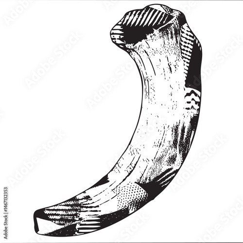 A detailed stylized of a large animal tooth.
