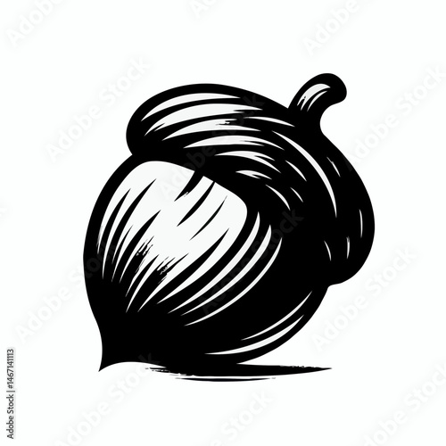 Acorn in stylized black sketch