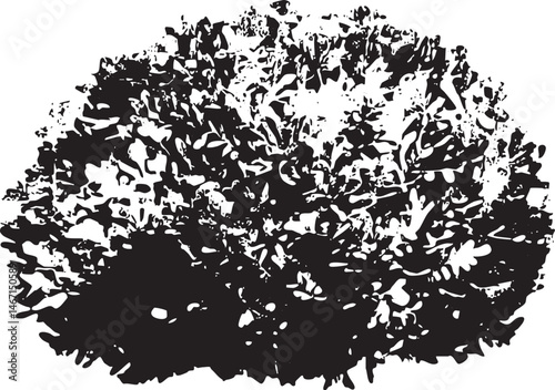 A dense textured cluster of foliage dominates the .