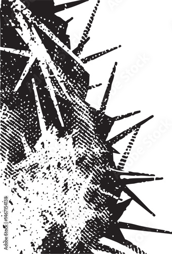 A stark textured close-up showcases a chaotic arrangement of jagged spikes.