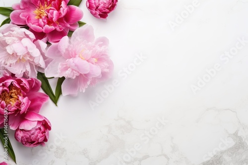 Delicate pink and fuchsia peonies on marble vibrant spring blooms elegant floral arrangement