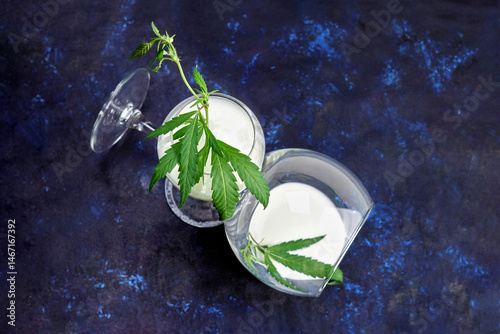 two large glasses with hemp milk and hemp twigs on dark blue background close-up, creative focus, healthy, ecological, clean nutrition concept