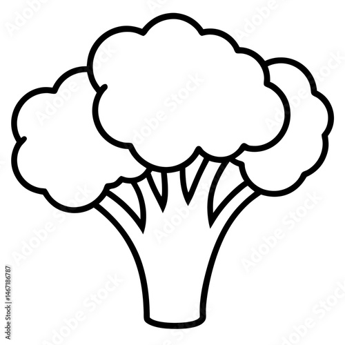 Broccoli icon vector