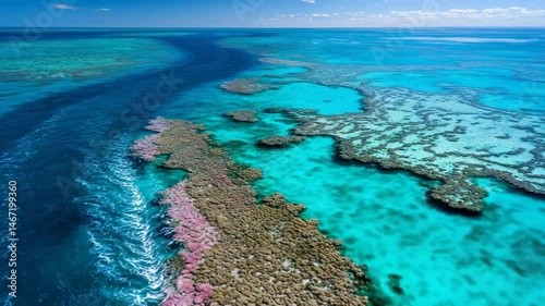 Aerial view of a vibrant coral reef system with diverse coral formations and clear turquoise water against a blue sky