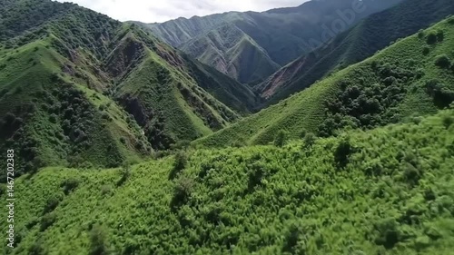 Rolling Green Hills: An awe-inspiring aerial view unfolds, showcasing lush, verdant hills that cascade toward a majestic valley, embodying nature's timeless beauty.