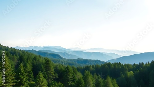 Beautiful Mountain Landscape with Forest and Clear Blue Sky