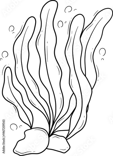 seaweed algae cartoon outline