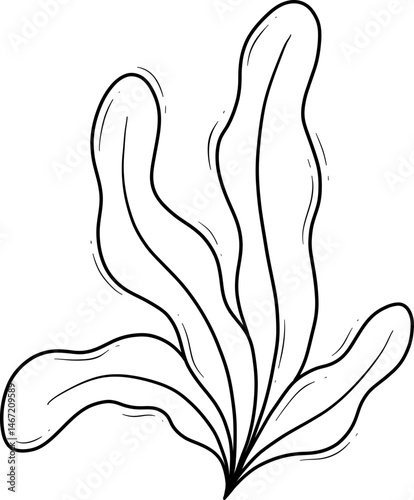 seaweed algae cartoon outline