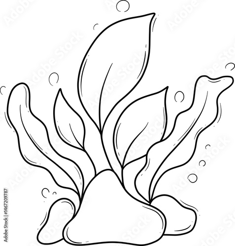 seaweed algae cartoon outline