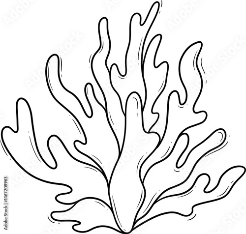 underwater coral cartoon outline