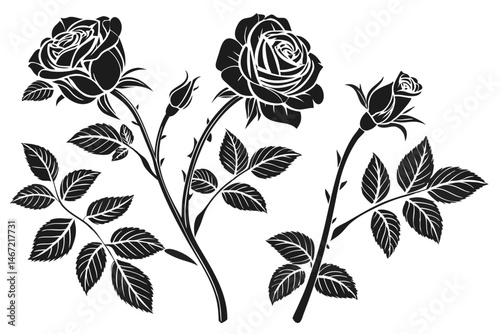 145 Black and white illustration, rose silhouettes, botanical drawing, floral set, multiple rose varieties, elegant flower designs, vintage style, detailed petals and stems, symmetrical arrangement, i